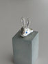 ✧ NEW ✧ usagi ring(予約商品)